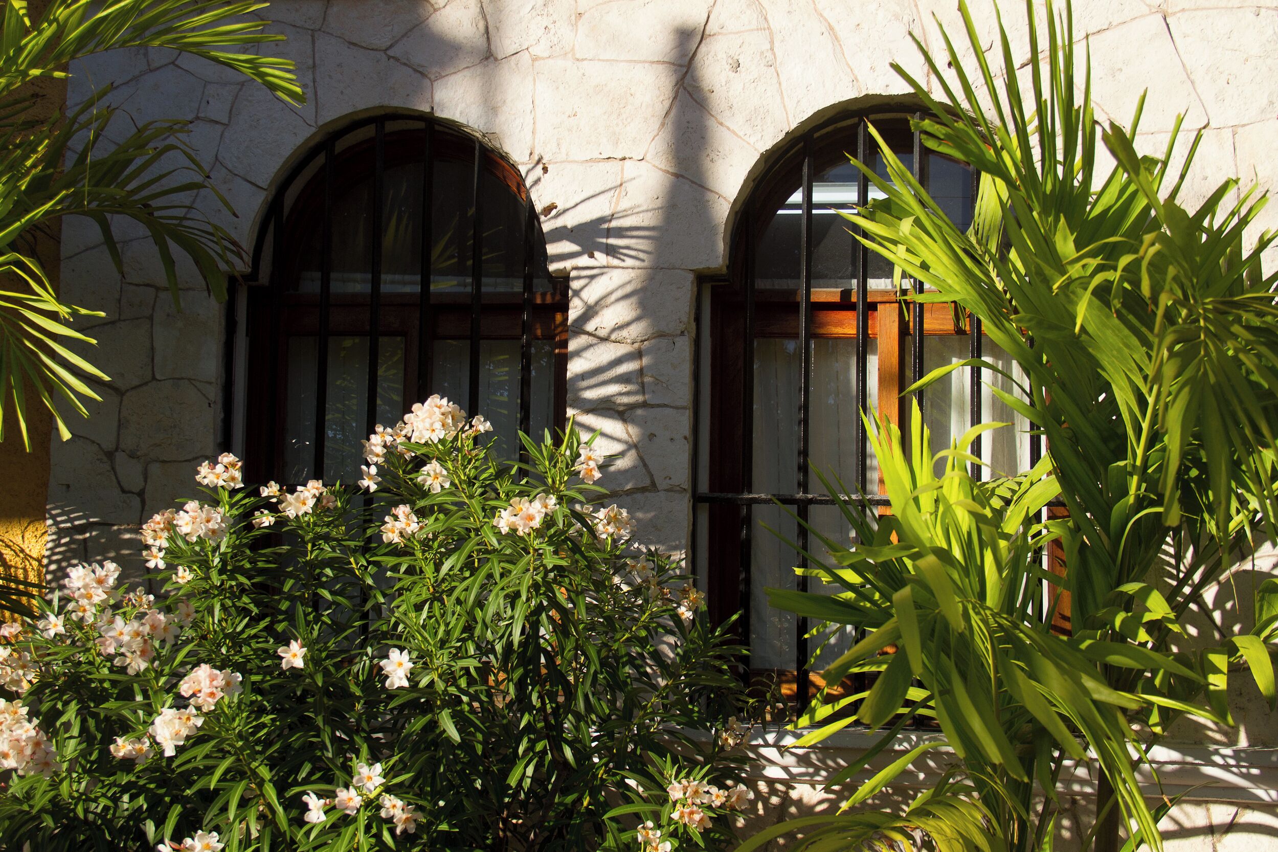 Foto - Hotel Bosque Caribe, 5th Av. zone