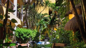 Une cour avec un chemin de pierre, une fontaine et une végétation tropicale luxuriante.