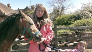 A person in a pink jacket leading a horse with a blue halter. - Church Farm (Solihull)