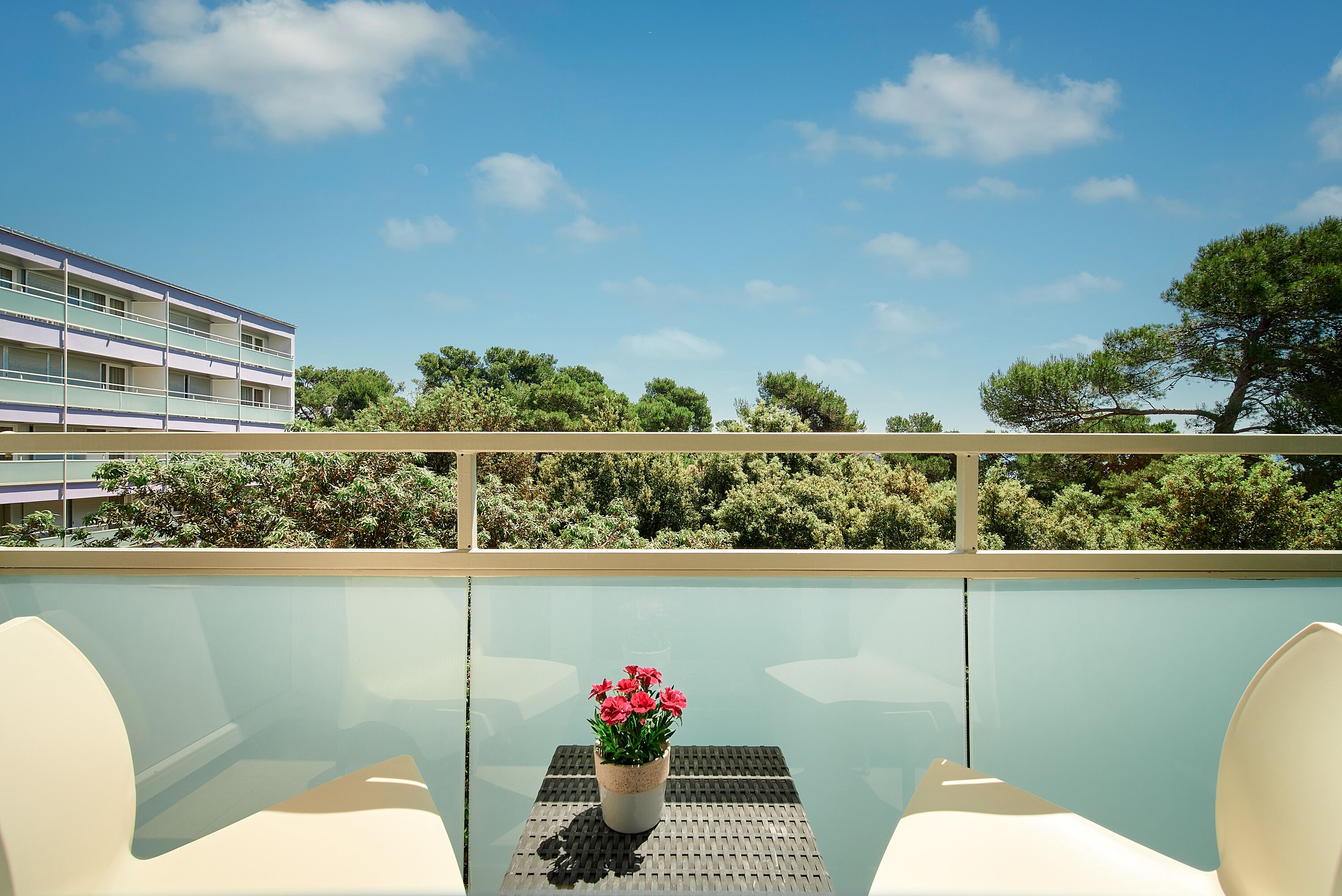 A balcony with a glass railing, a potted plant with pink flowers, and a view of a building and trees.