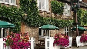 The Greyhound Inn with ivy-covered walls, a traditional pub sign, and outdoor seating with green umbrellas. - The Greyhound Inn Aldbury (Tring)