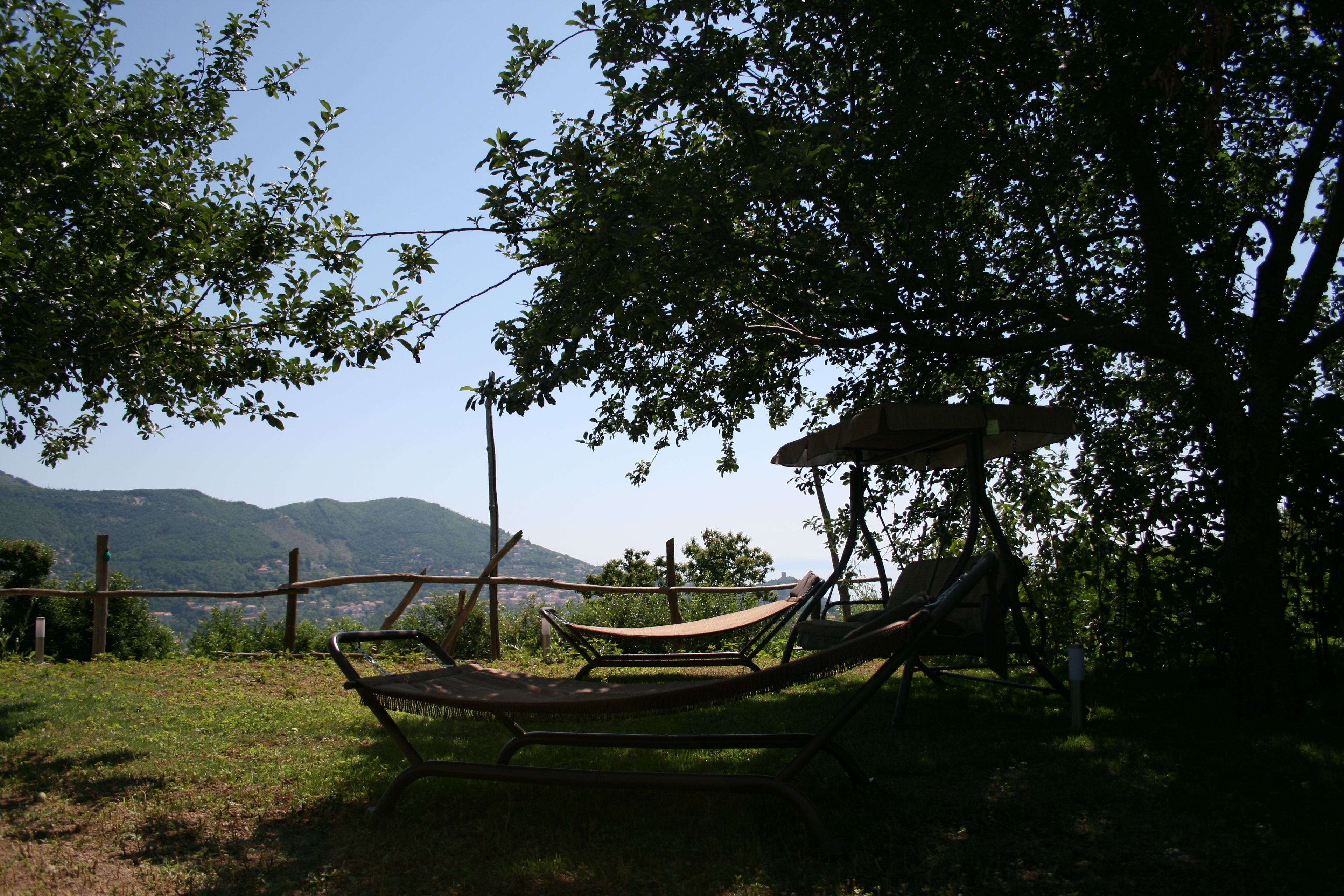 Un fauteuil suspendu sous un arbre, avec vue sur les montagnes.