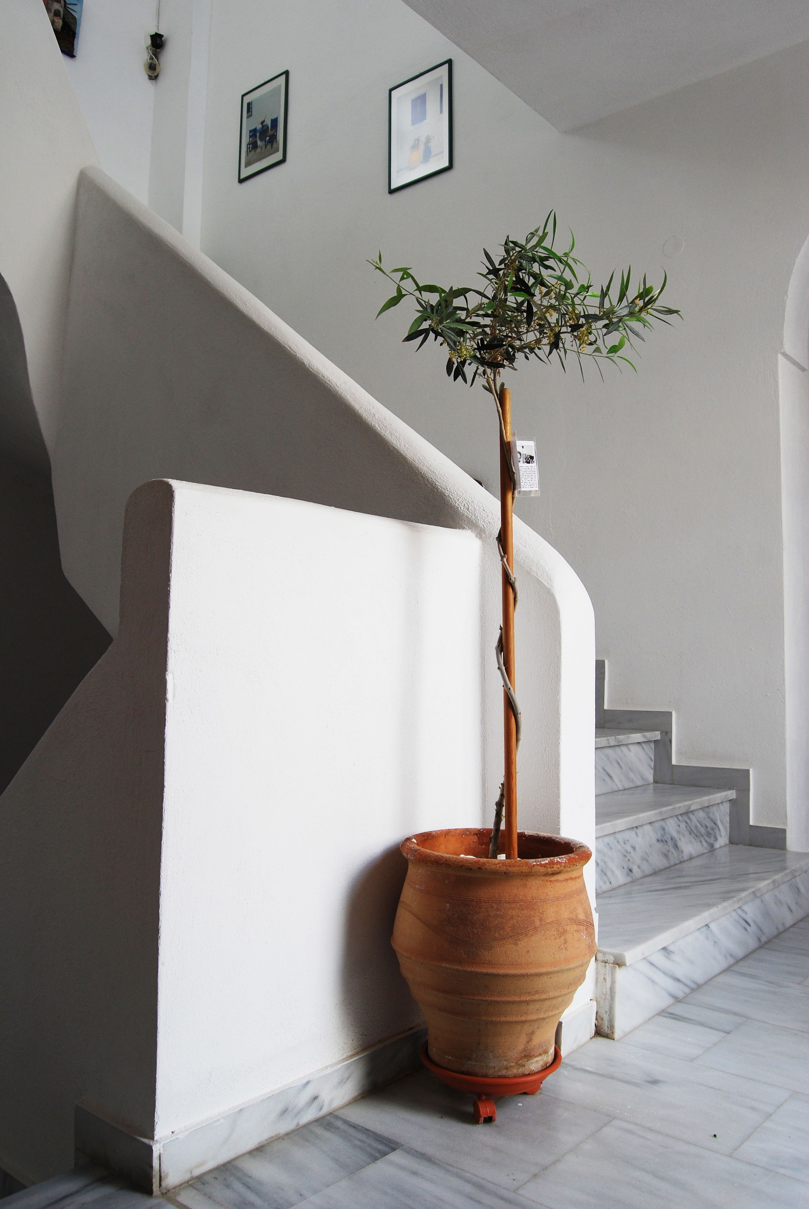 Foto - Aretousa Villas