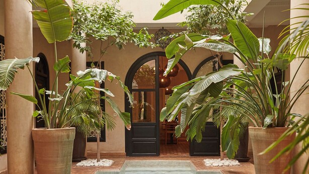 A pool area with a central water feature, surrounded by large potted plants and columns.