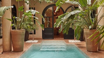 Outdoor pool, pool umbrellas, pool loungers