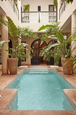 Zona de piscina con fuente central, rodeada de plantas en macetas grandes y columnas.