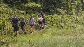 A group of people hiking on a grassy trail surrounded by dense greenery.