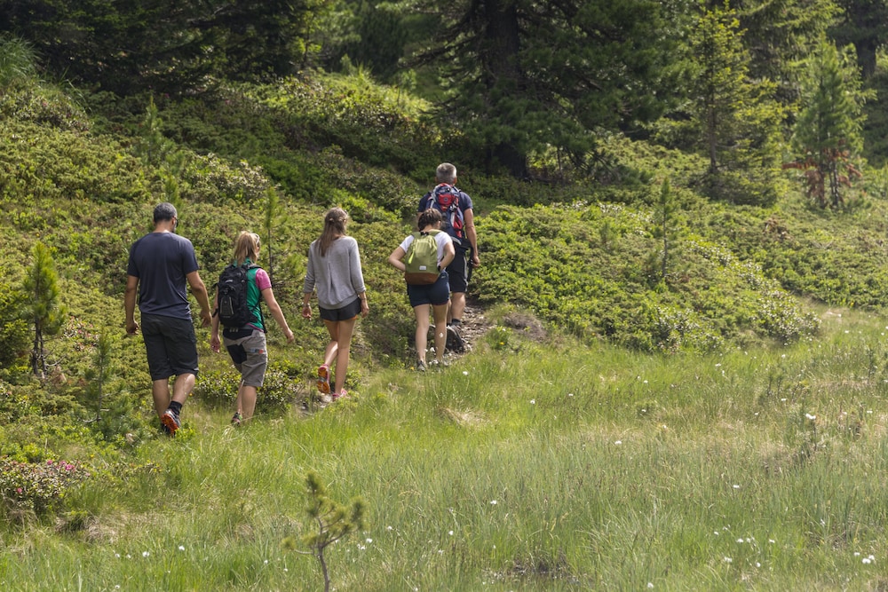 Hotel Drumlerhof by null