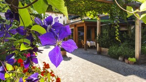 Une cour pavée de pierres, agrémentée d’une pergola en bois, de plantes en pot et d’un bâtiment surmonté d’une marquise verte.
