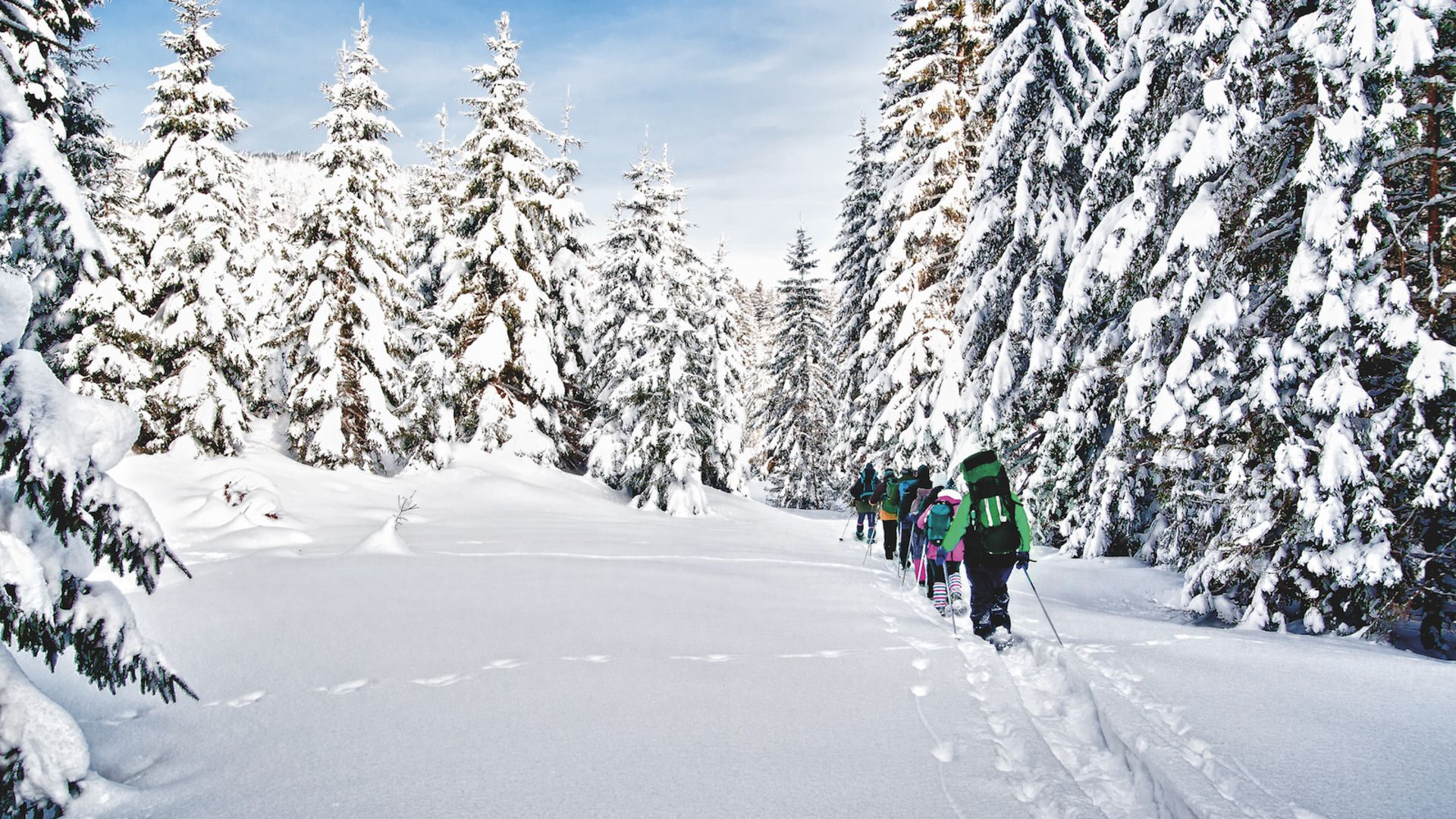 Camino nevado en un bosque con gente esquiando.