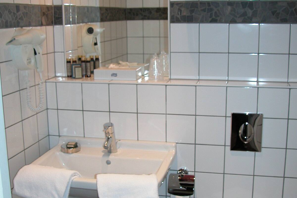 standard double room | bathroom | shower, free toiletries, hair dryer, towels