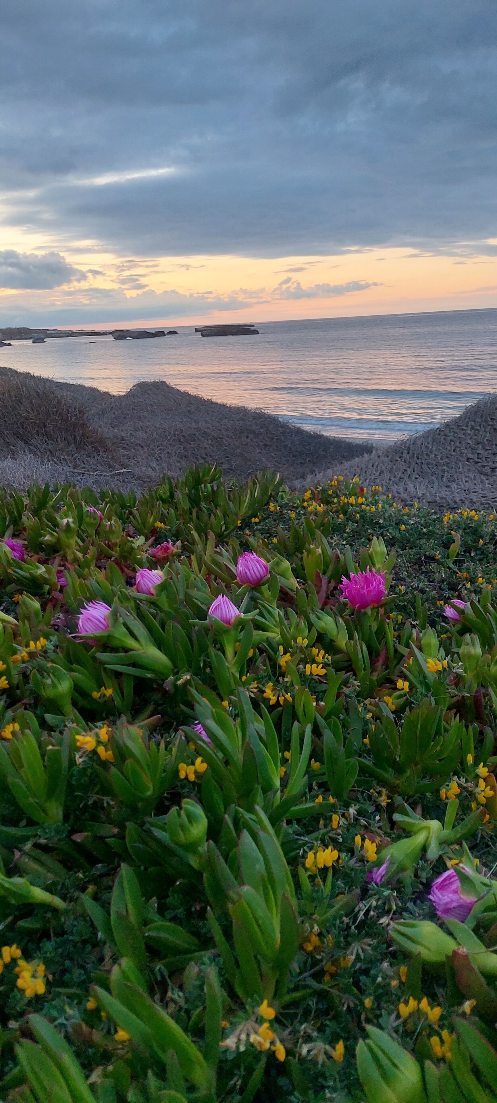 private beach nearby