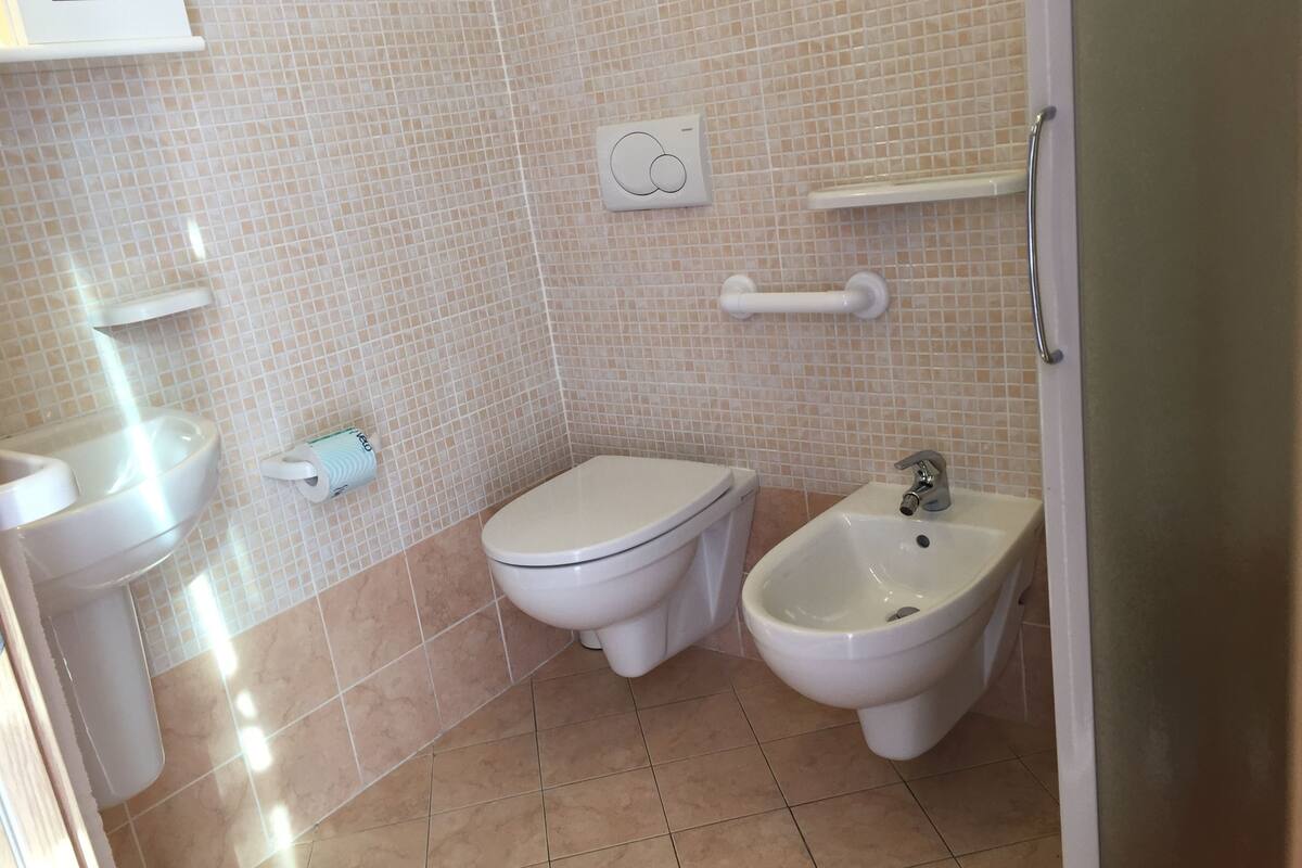 double room single use | bathroom | shower, free toiletries, hair dryer, bidet
