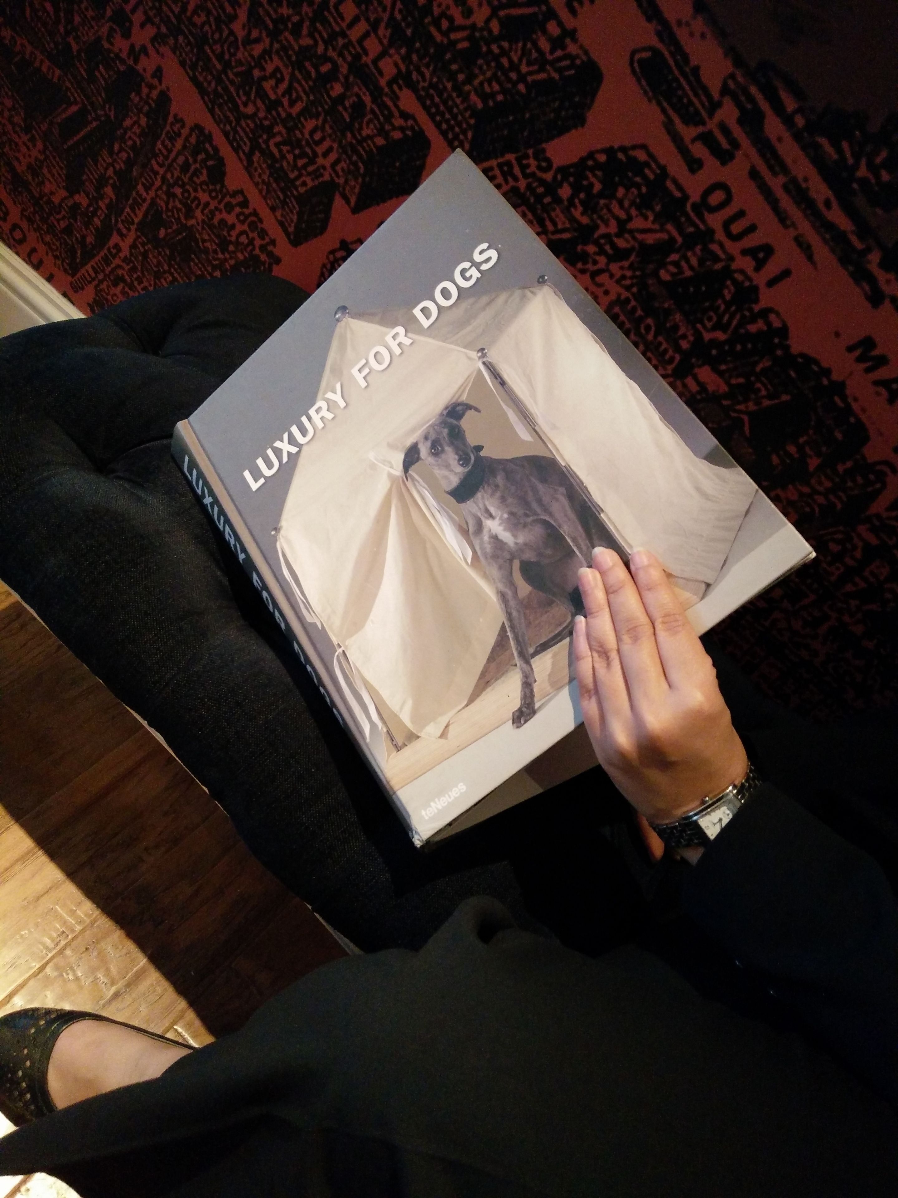 A person holding a book titled 'Luxury for Dogs'.