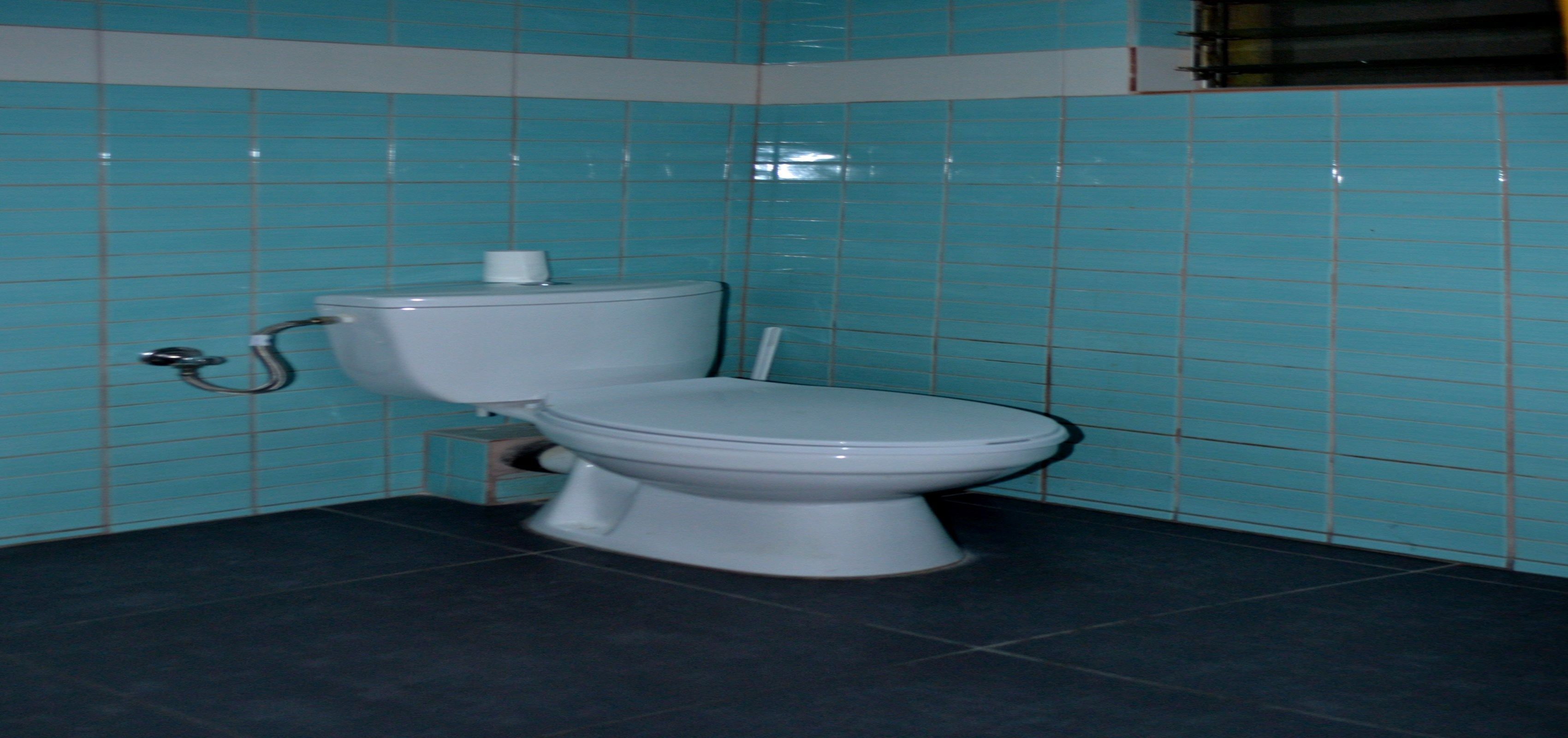 A bathroom with a toilet, a roll of toilet paper, and a handrail.