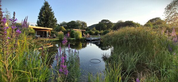 A serene lakeside setting with a dock and wooden buildings, surrounded by lush greenery and purple flowers. - The Baron at Bucknell (Bucknell)
