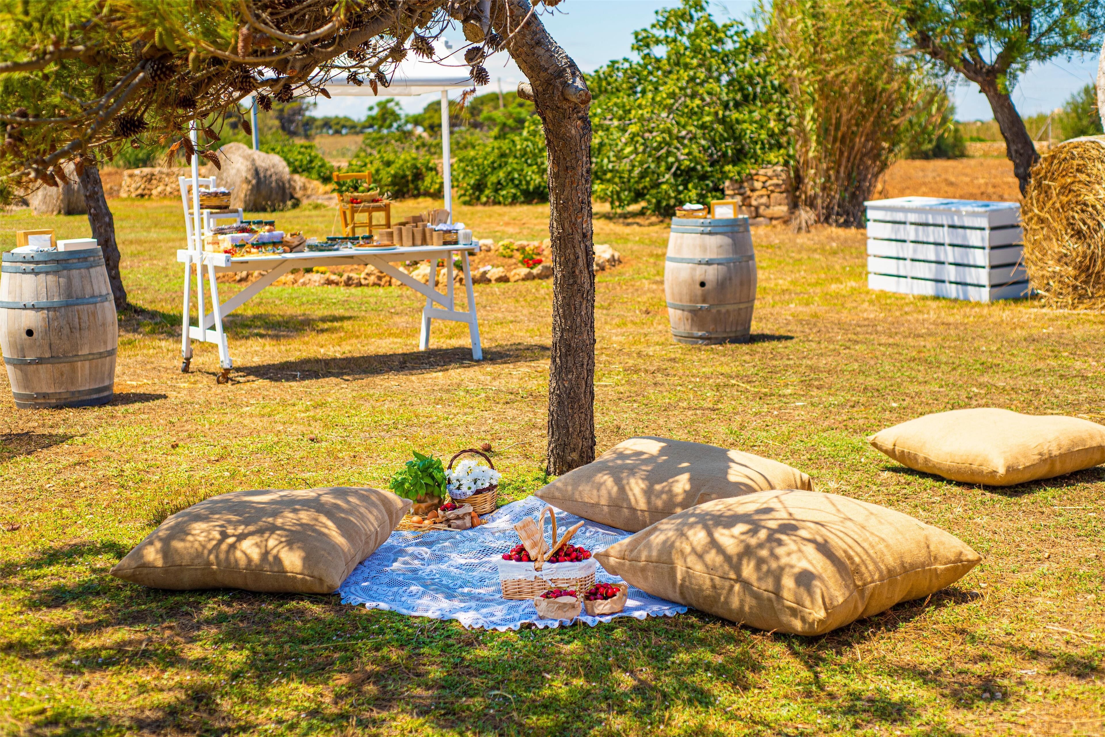 Un montaje para picnic al aire libre con una mesa, mantas y comida bajo un árbol.
