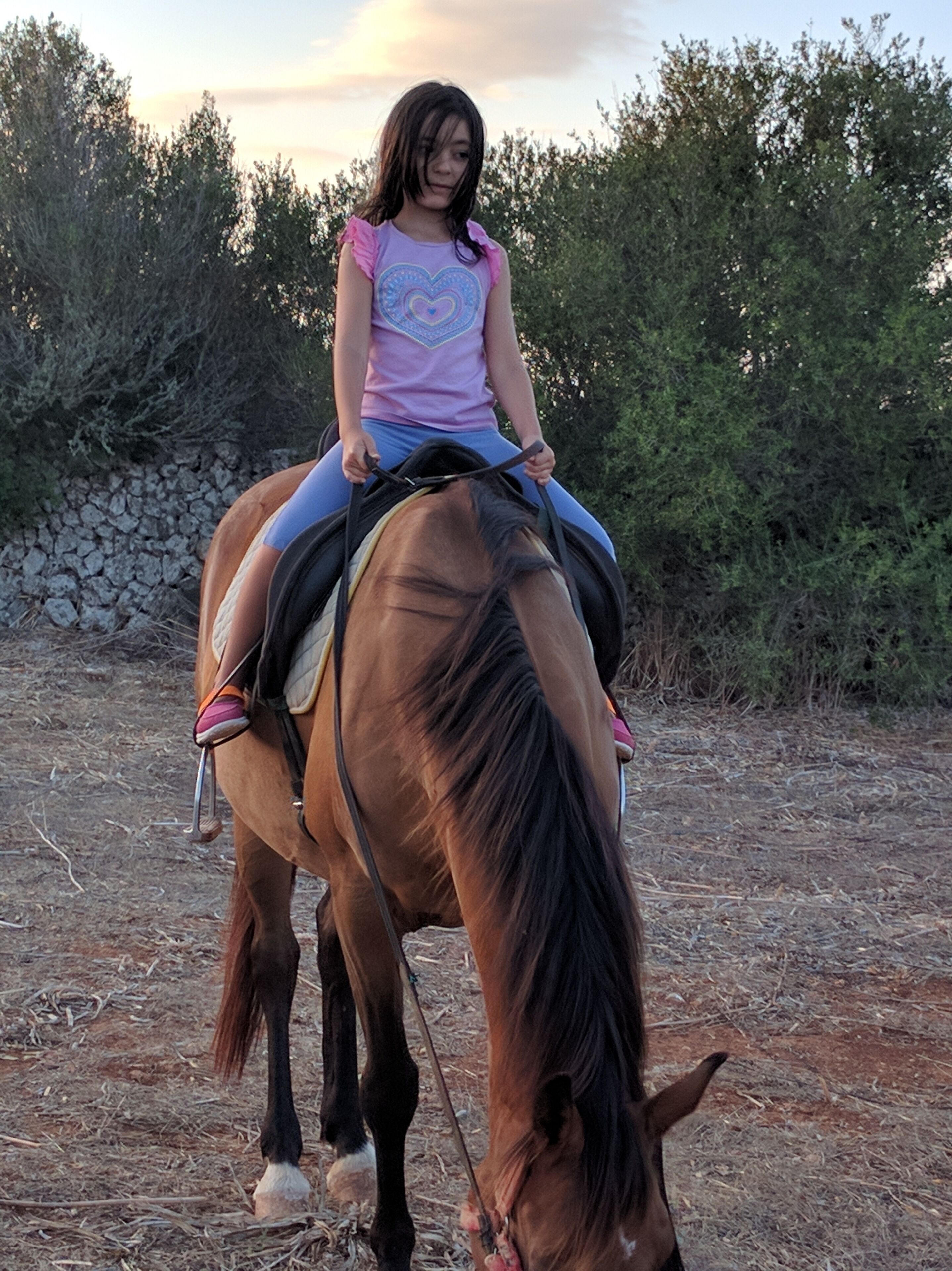 Una persona montando a caballo en un entorno al aire libre, con un muro de piedra y vegetación de fondo.