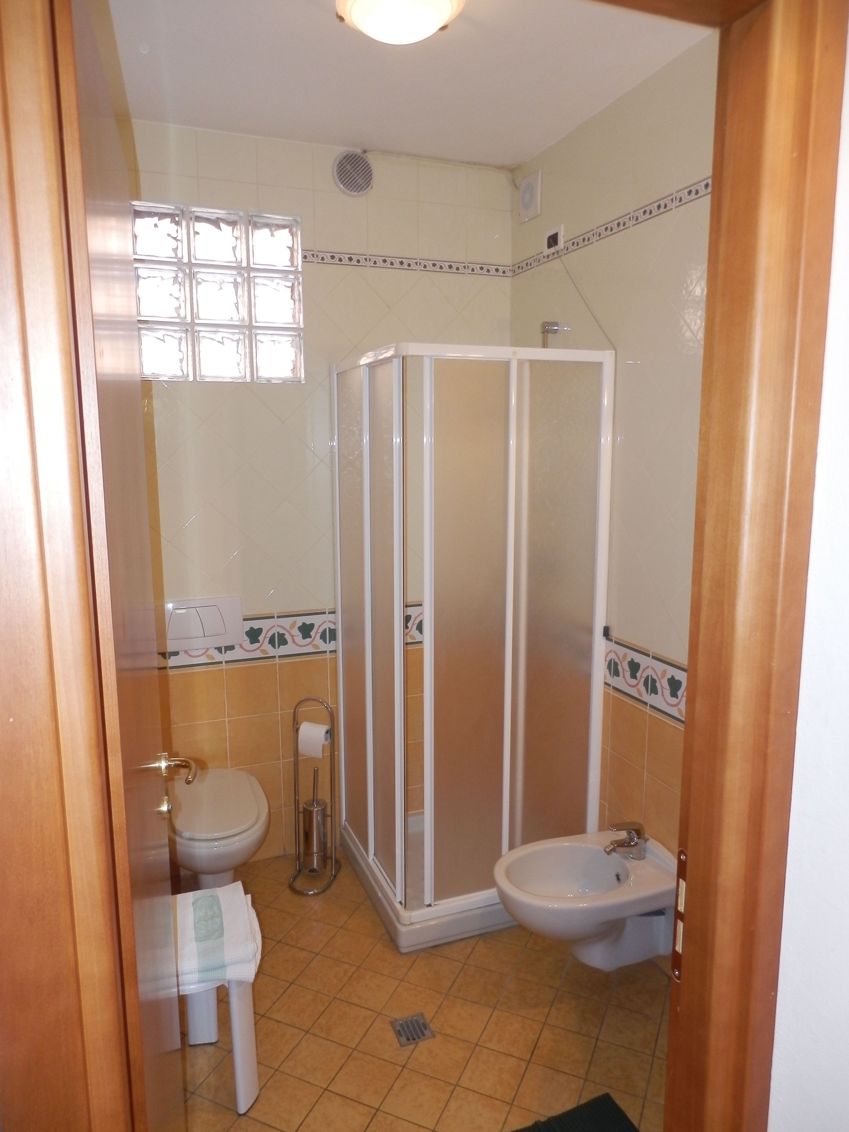 shower, free toiletries, hair dryer, bidet