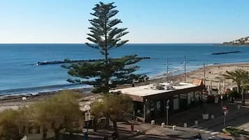 A coastal road with parked cars, a lone tree, and a beach in the background.