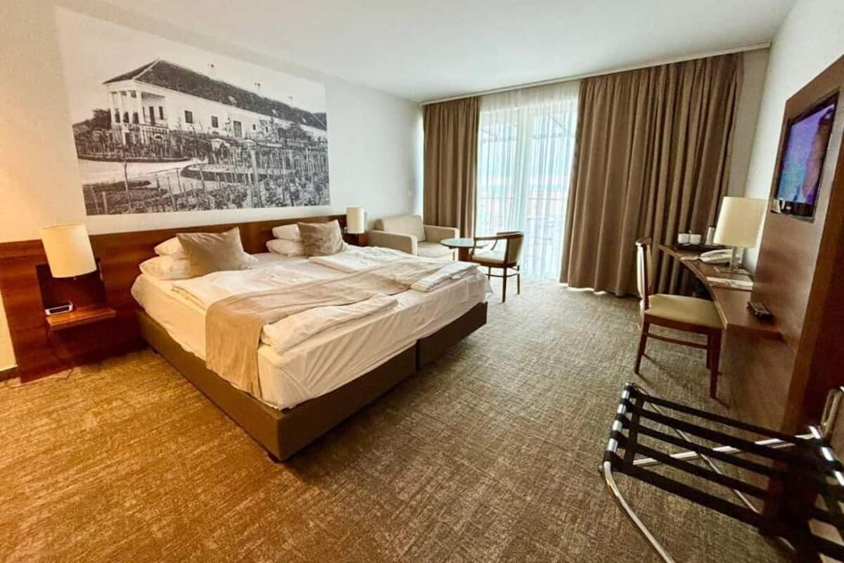 A hotel room with a large bed, a desk with a chair, a TV, and a picture of a building on the wall.