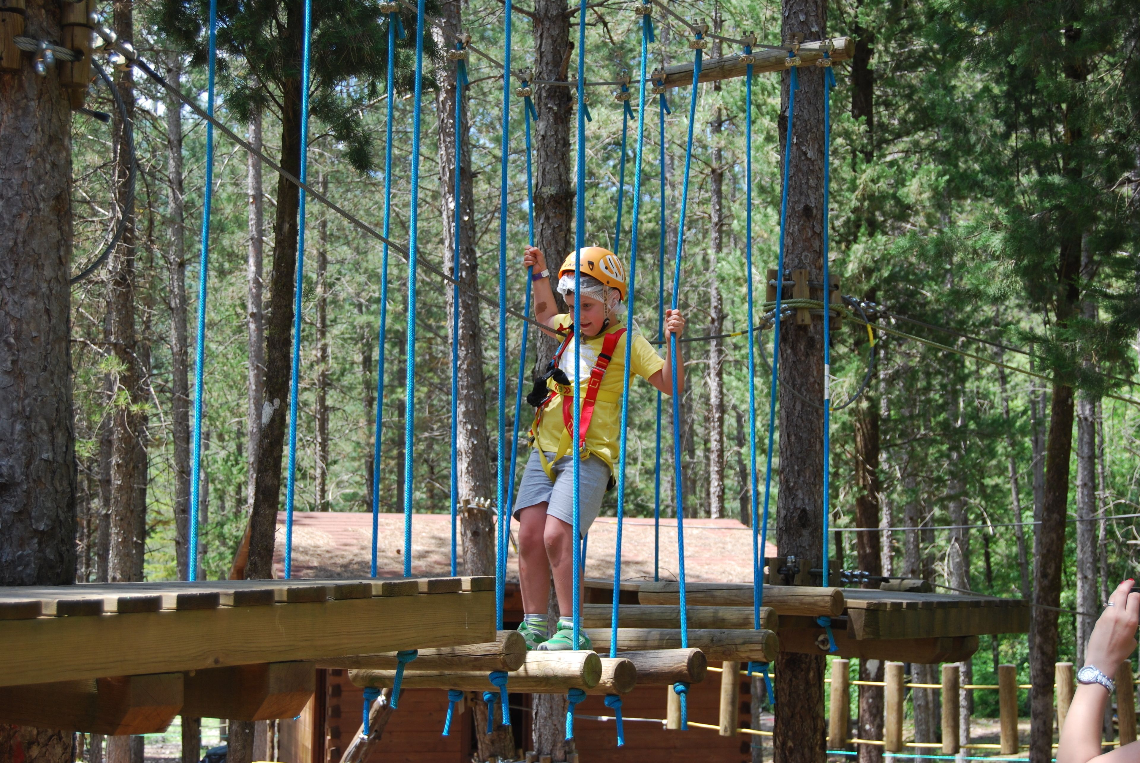 A person on a rope bridge in a forested area.