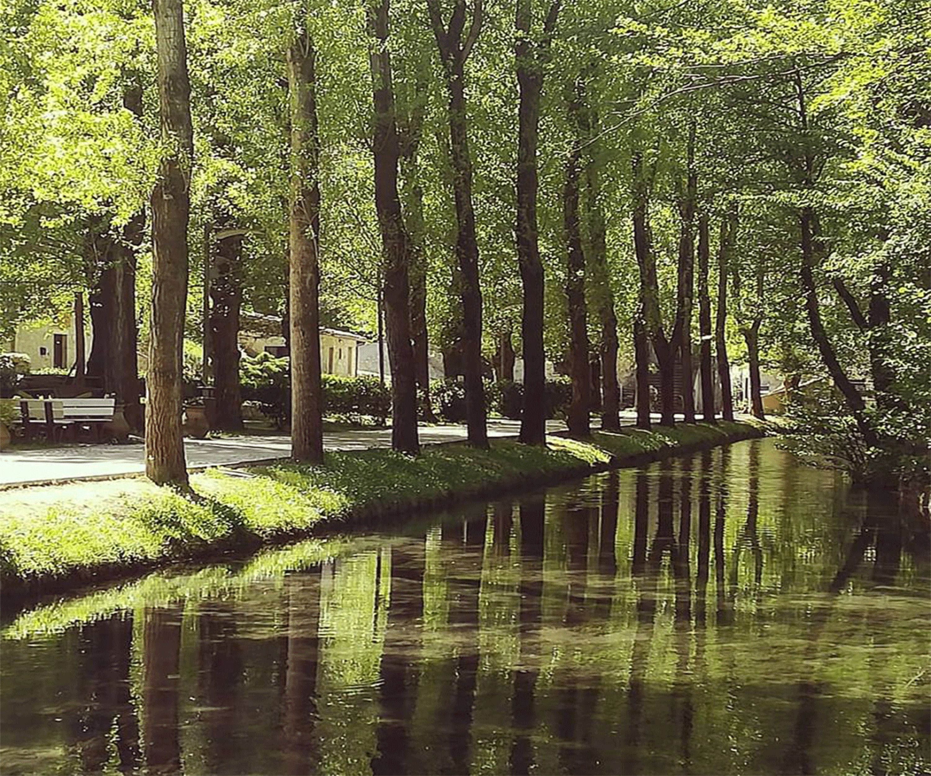 Um canal calmo ladeado por árvores altas, com seus reflexos na água, e um banco além de um edifício ao fundo.