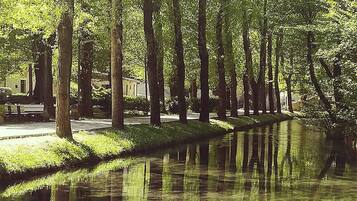 Um canal calmo ladeado por árvores altas, com seus reflexos na água, e um banco além de um edifício ao fundo.