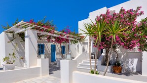 A white building with blue doors and pink flowers, a white pergola, and a palm tree. - Sigalas (Santorini)
