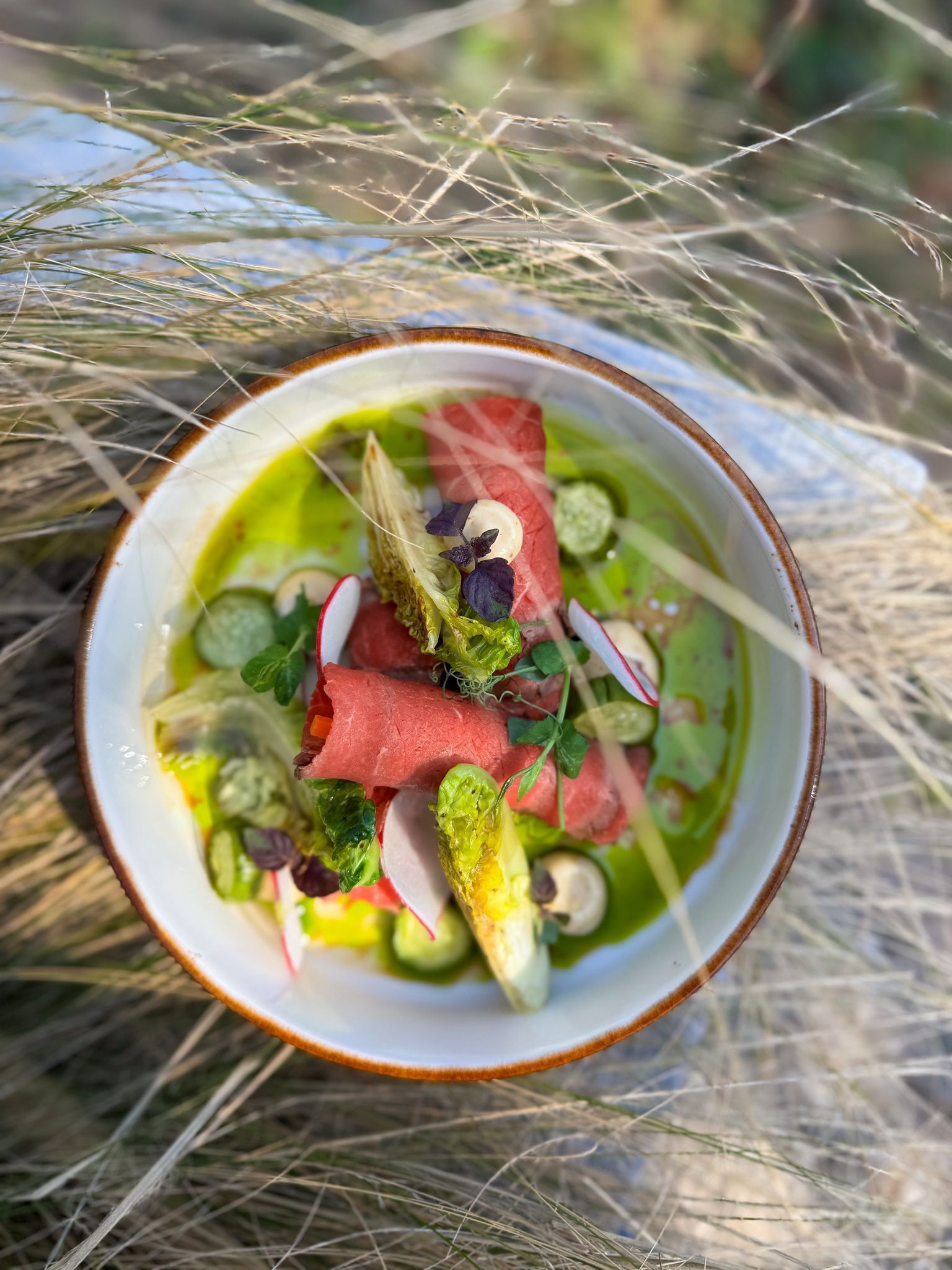 A bowl of salad with various vegetables and a creamy dressing, placed outdoors with tall grass in the background.