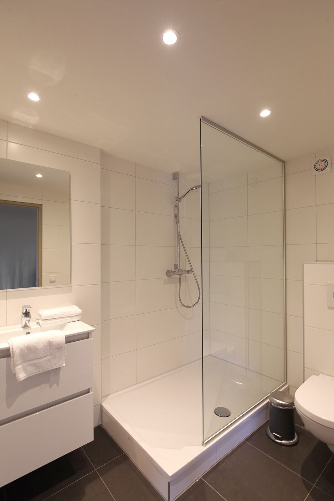 Een moderne badkamer met een douchecabine van glas, een witte wastafel met spiegel en een toilet.