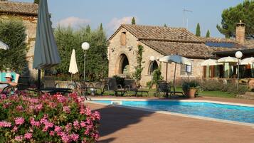 Outdoor pool, pool umbrellas, pool loungers