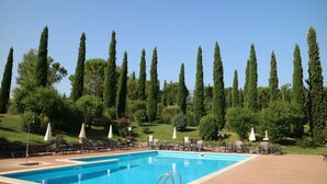 A rectangular swimming pool with a clear blue water surface, surrounded by lounge chairs and umbrellas, set against a backdrop of tall, slender trees and a well-maintained grassy area.