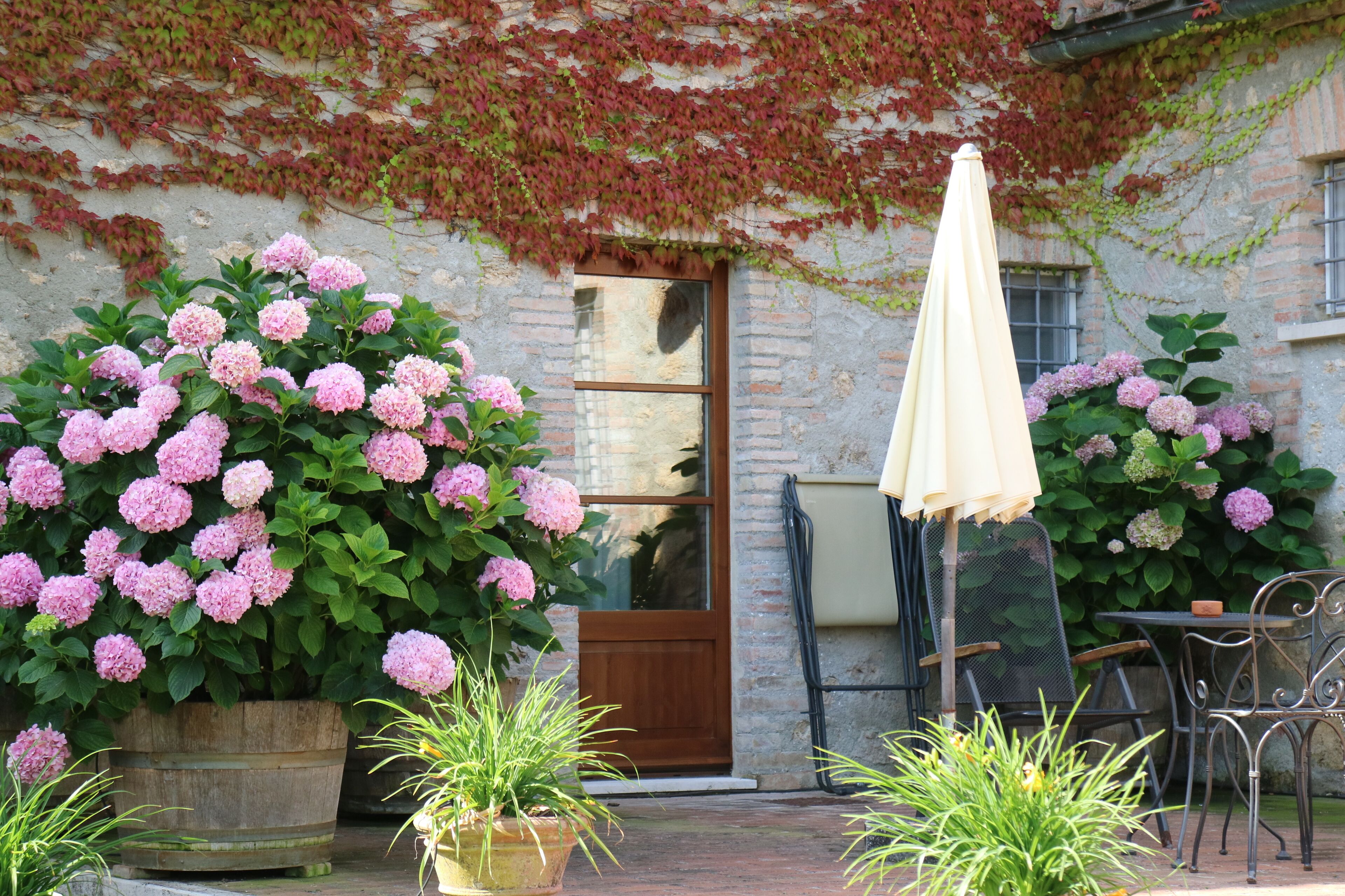 Deluxe-Doppelzimmer, 1 Doppelbett oder 2 Einzelbetten | Terrasse/Patio