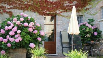 Deluxe-Doppelzimmer, 1 Doppelbett oder 2 Einzelbetten | Terrasse/Patio