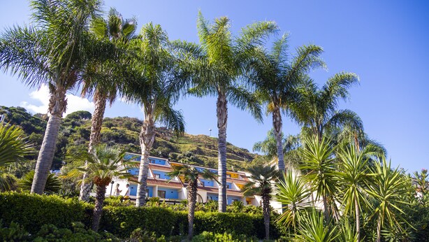 A hotel with multiple floors, surrounded by palm trees and lush greenery.