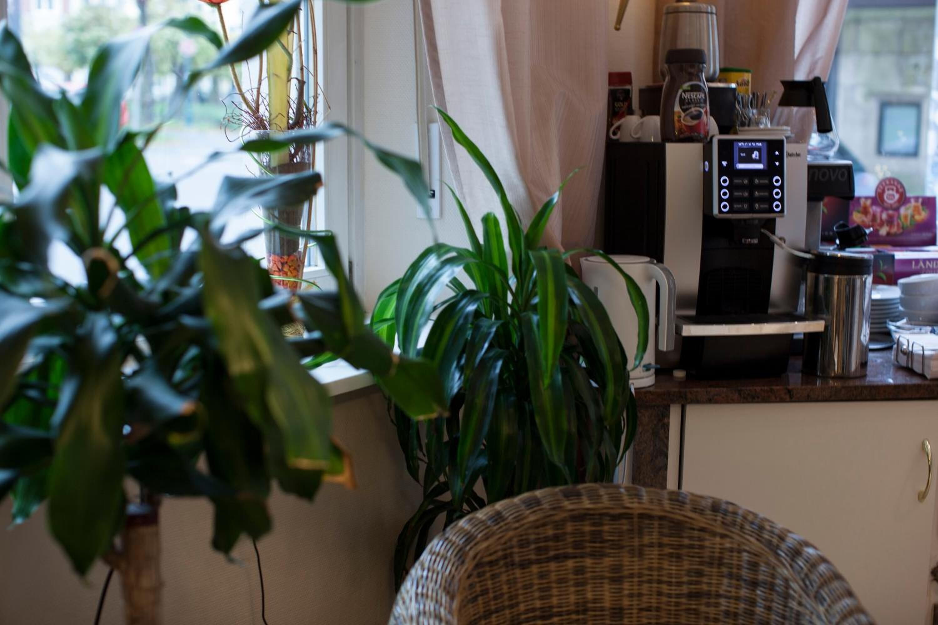 A kitchen with a coffee machine, a wicker chair, and a large green plant.