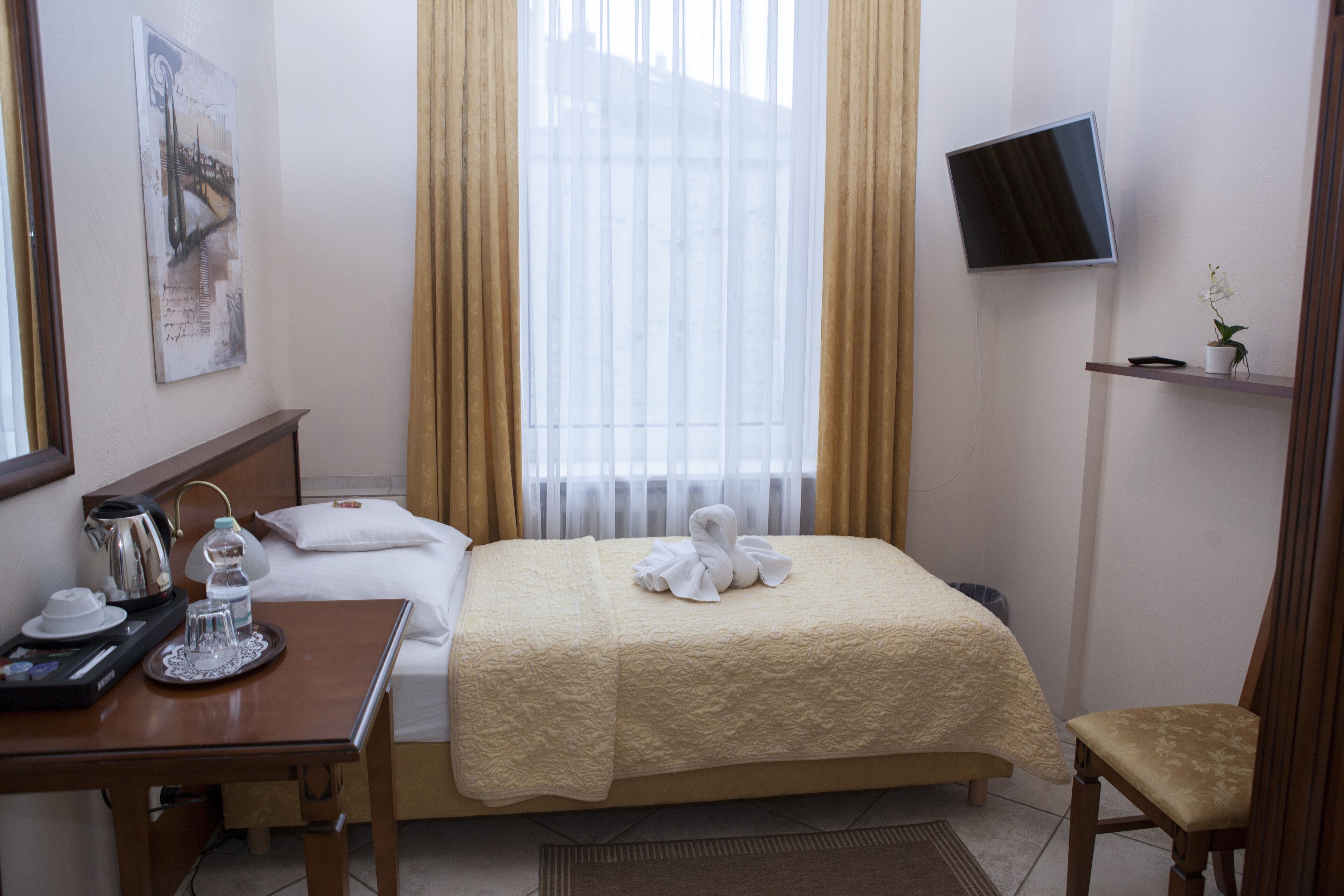 Een hotelkamer met een bed, een bureau met een waterkoker, een televisie en een klein plankje met een plant.