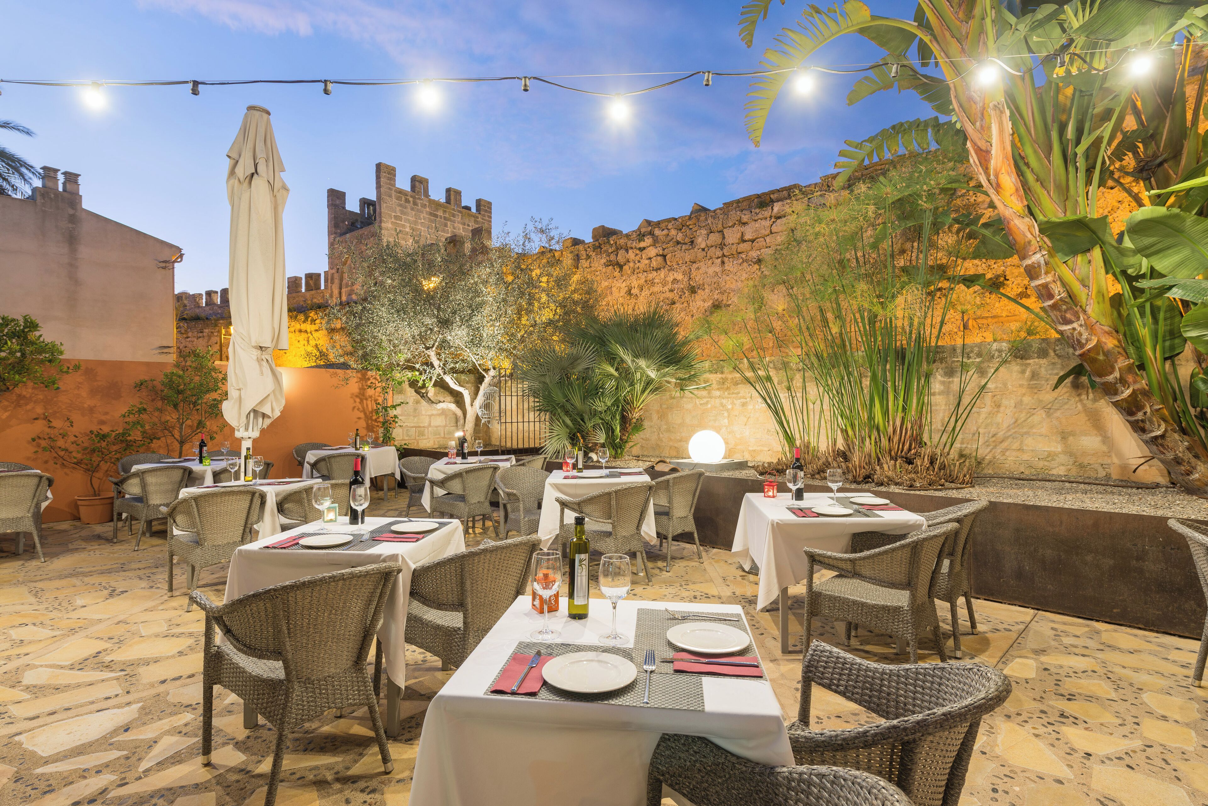 Breakfast and lunch served, Mediterranean cuisine