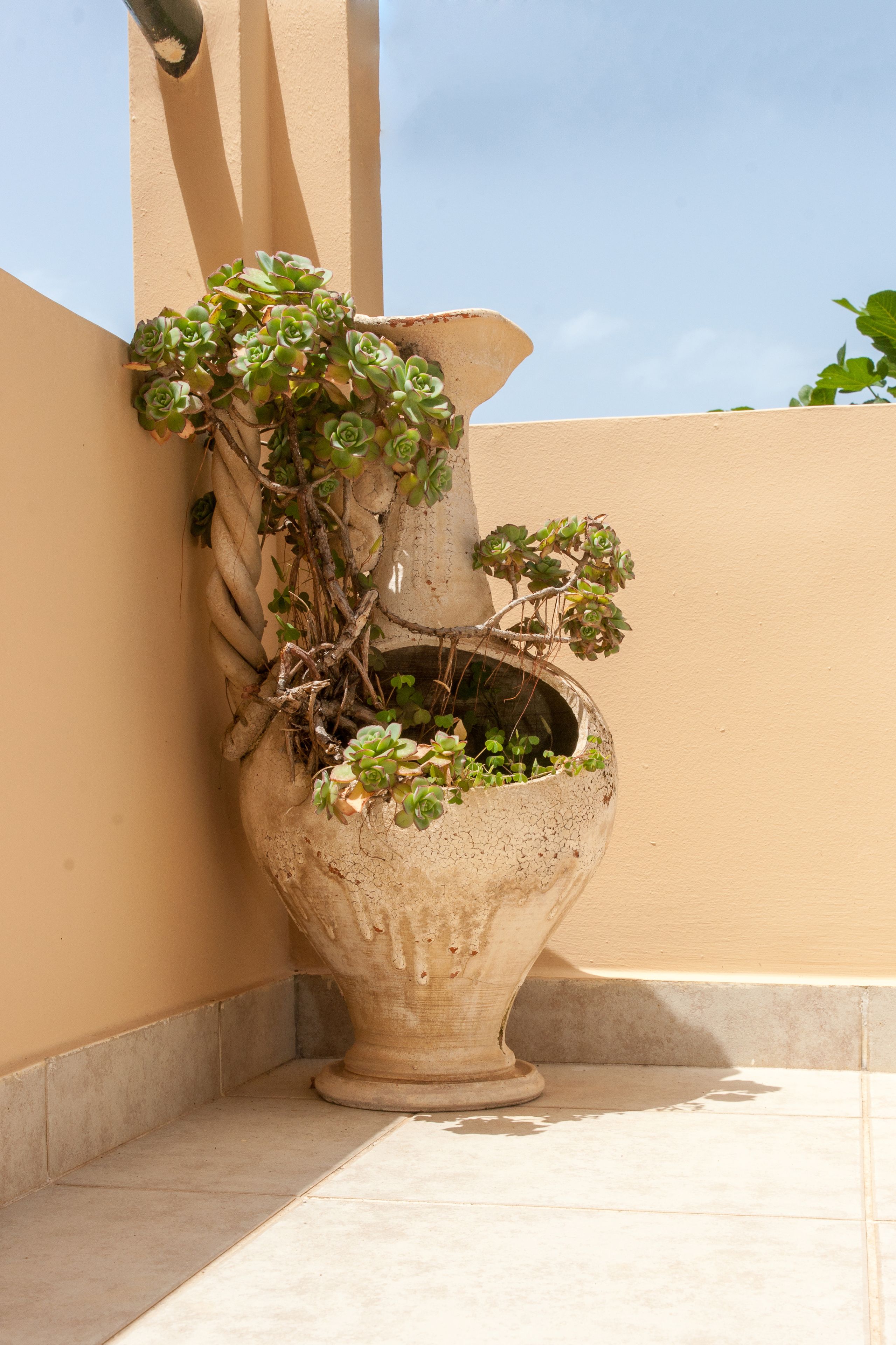 Foto - Argo Apartments