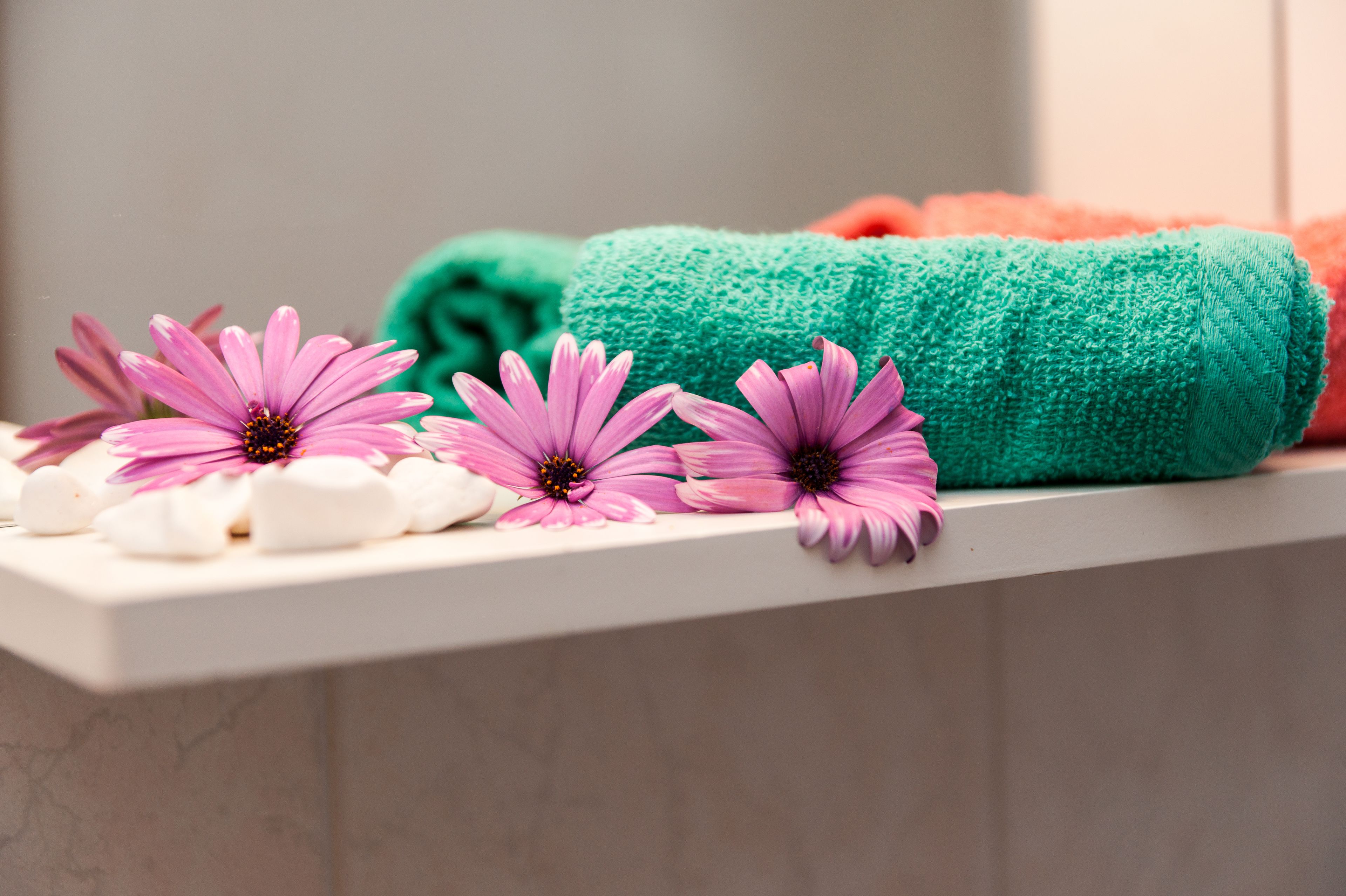 Foto - Argo Apartments