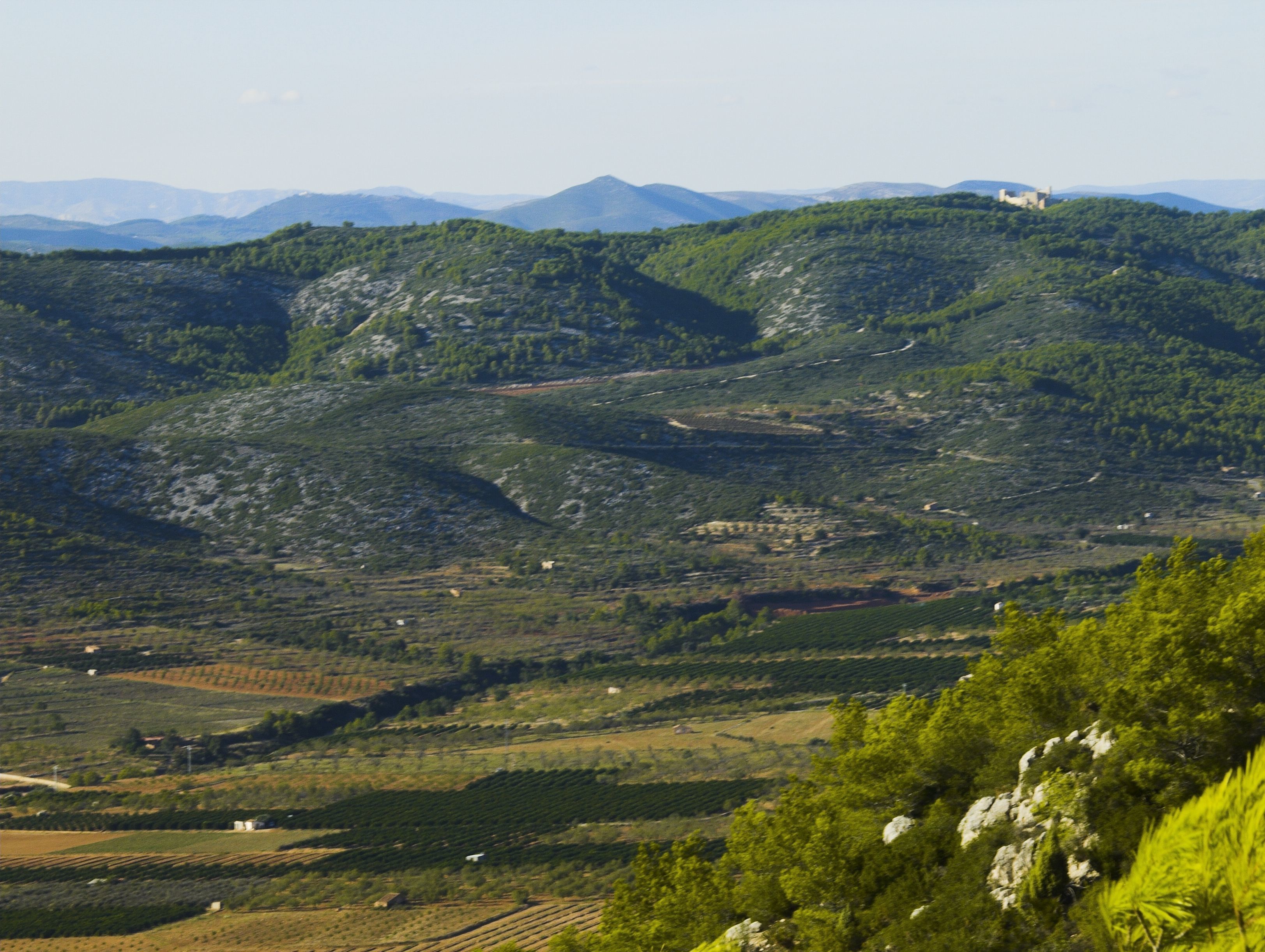 A mountainous landscape with terraced fields and a castle on a hill.