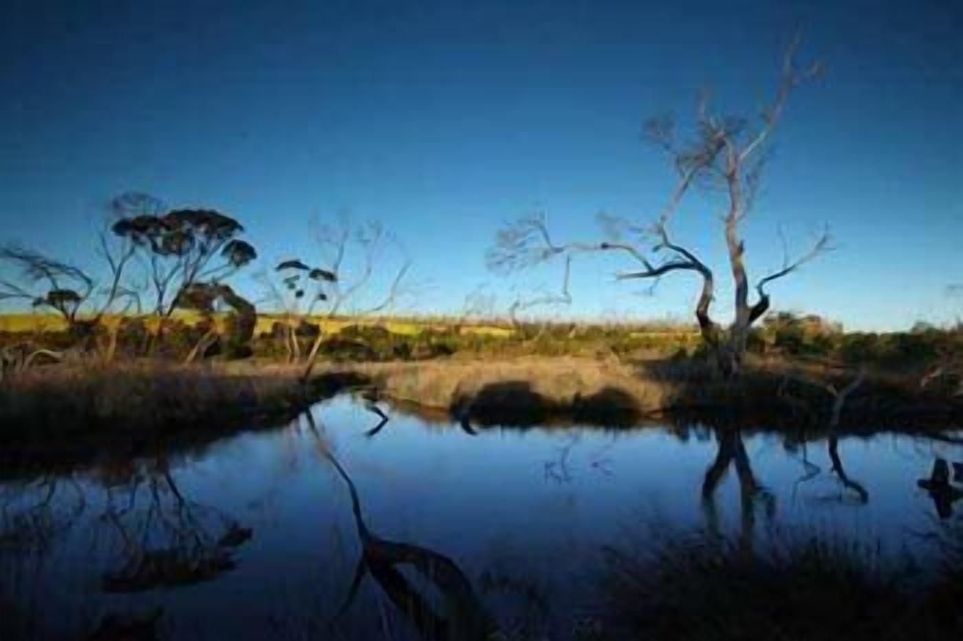 A natural landscape with a body of water reflecting trees and a clear sky.