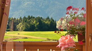 Blick durch ein Fenster mit blumigen Vorhängen, einer hölzernen Ablage und einer rosa Rose.