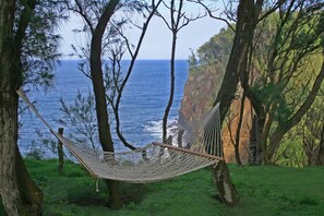 View from property - Hawaii Island Retreat (Kapaau)