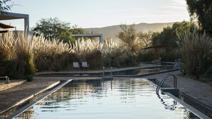Una piscina con cubierta de madera, rodeada de pastos altos y árboles, con vistas a colinas al fondo.