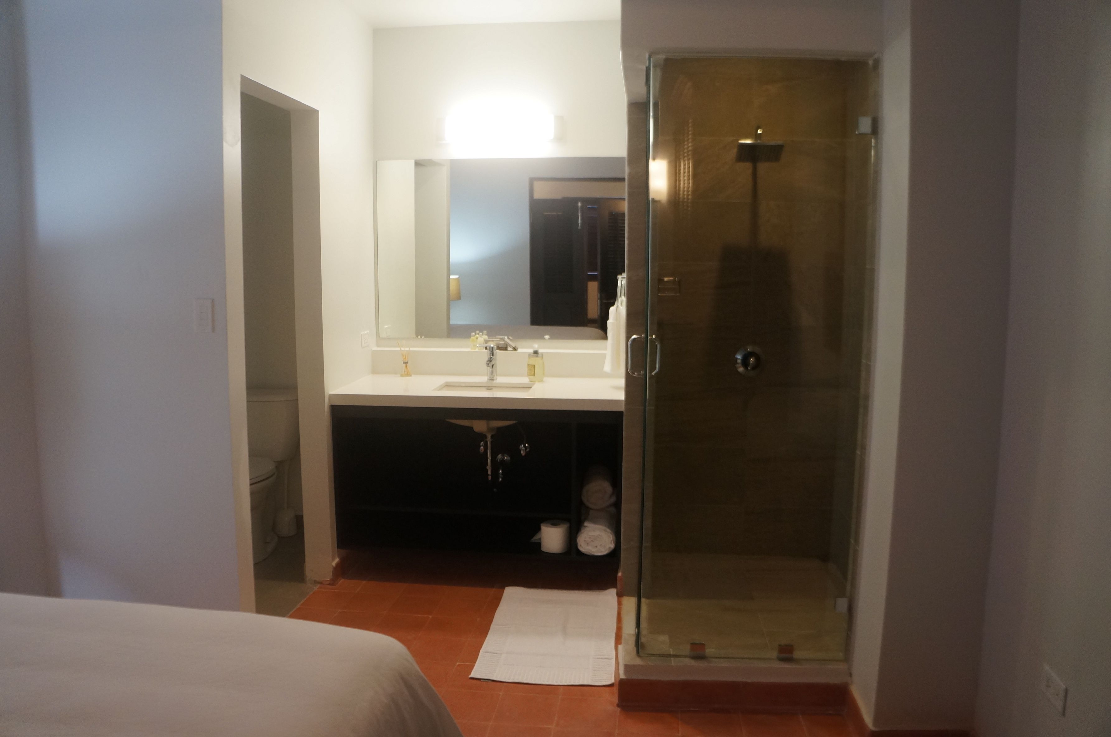 Un baño con ducha envuelta en vidrio, un lavamanos y un espejo sobre él.