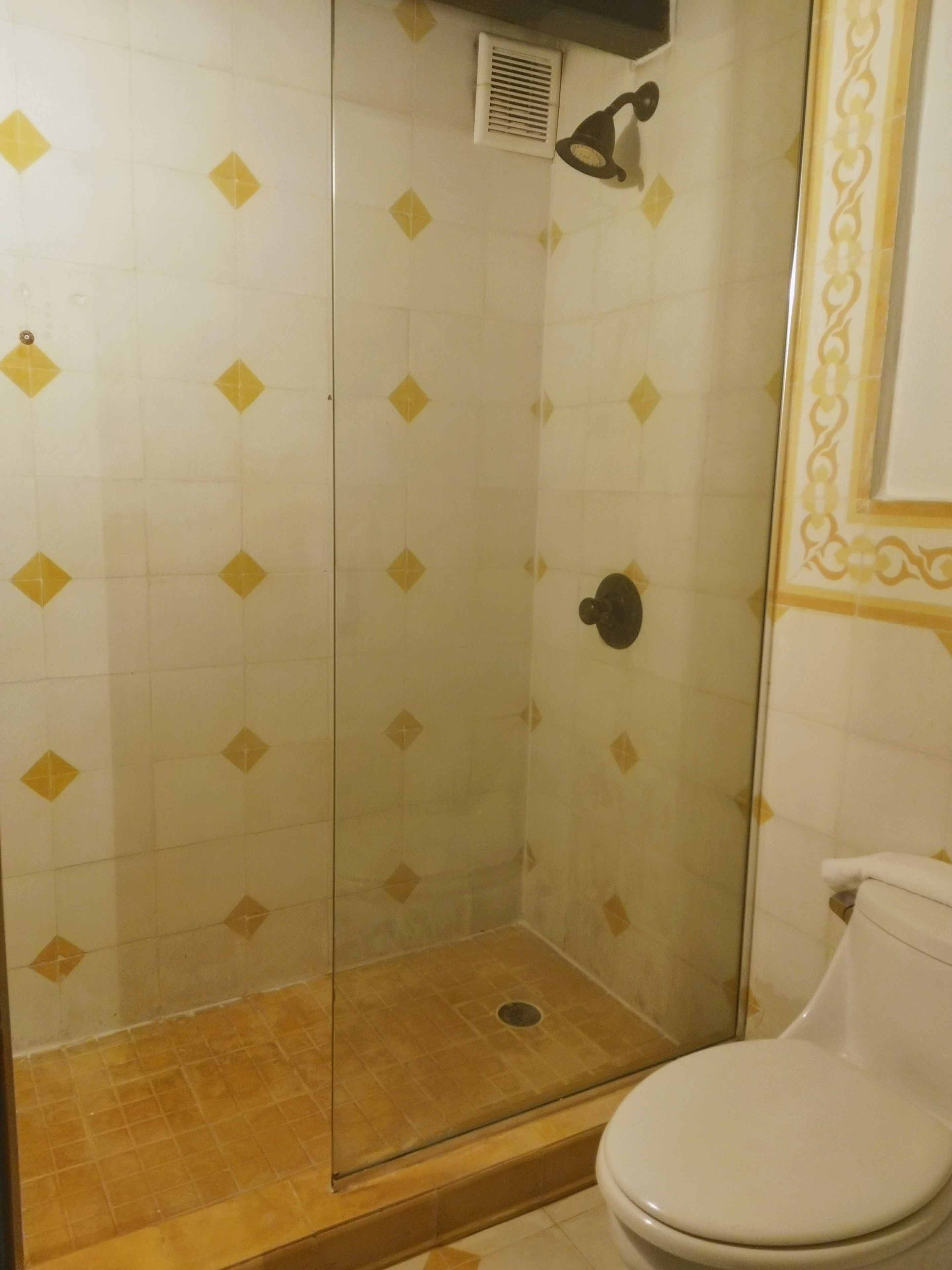 A bathroom with a glass-enclosed shower, a toilet, and patterned tiles.