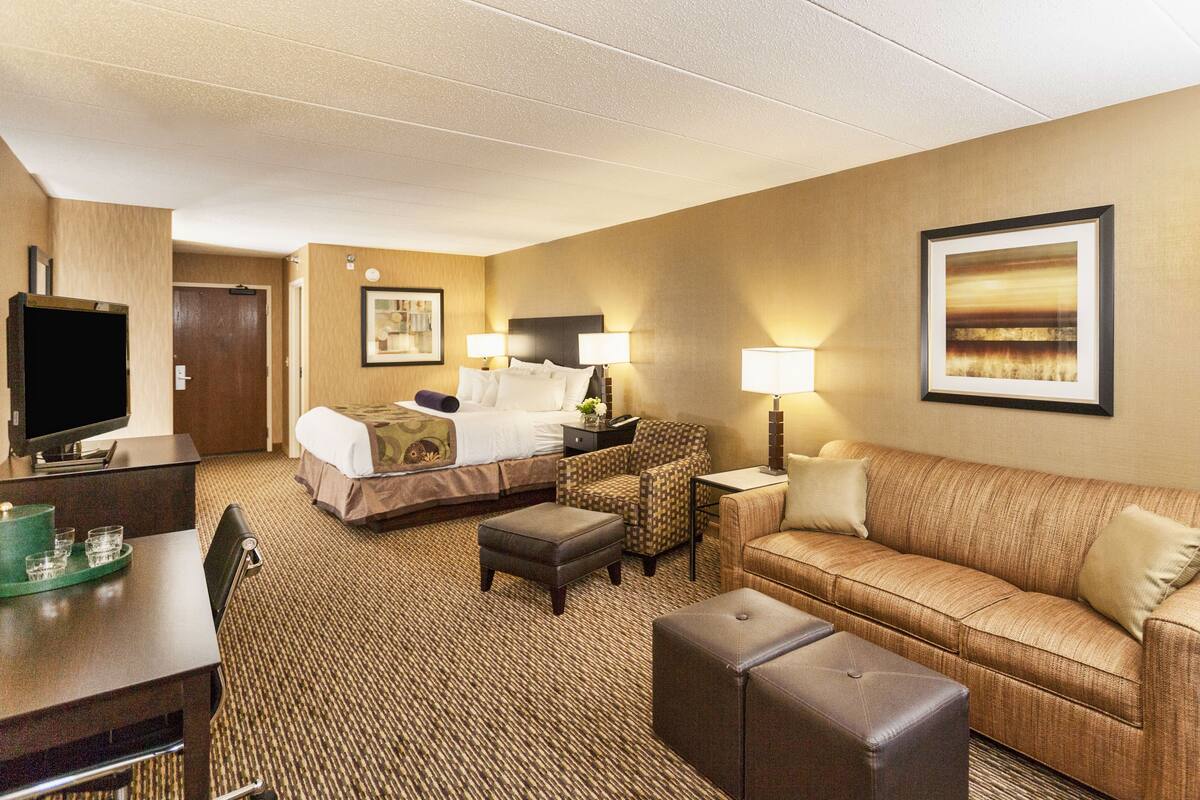 A hotel room with a bed, a sofa, a desk with a TV, and a framed picture on the wall.