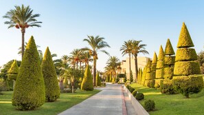 A pathway lined with neatly trimmed topiary trees and palm trees, leading towards a building with a modern architectural style. - Horizon Beach Resort (Kos)